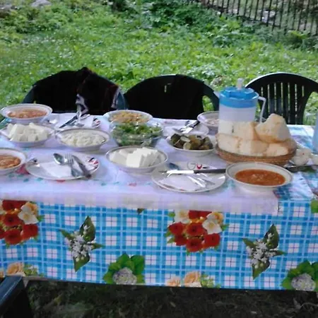 Guest house Martin Prebibaj Tropoje